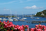 Tarbert Harbour