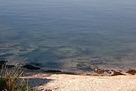 Shell beach Tarbert