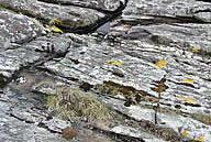Tarbert Loch Fyne and Kintyre Rock