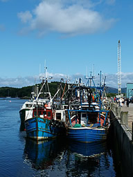 Tarbert Fishing Boats