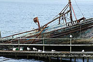 Fishing Boat Wreck