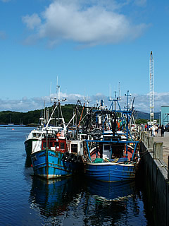 fishing01.jpg