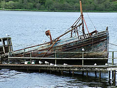 fishing03.jpg