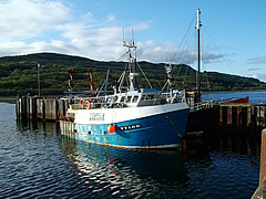 fishing04.jpg