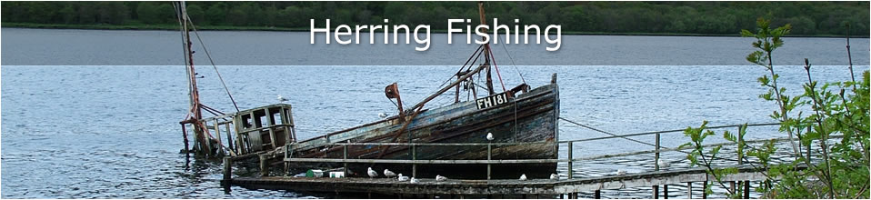 Herring Fishing on Loch Fyne
