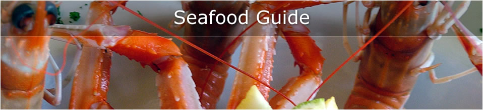 Tarbert Loch Fyne Seafood Guide